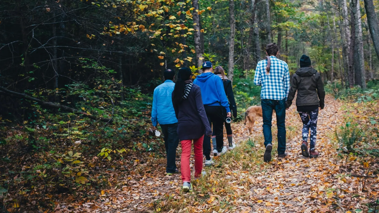 Un groupe de marcheurs avance ensemble sur un sentier forestier couvert de feuilles d’automne